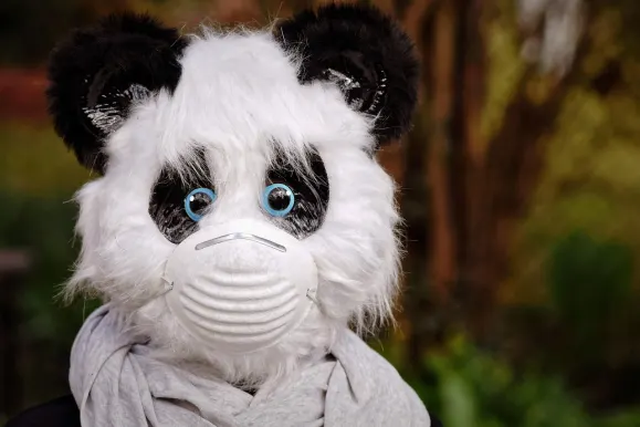 헤이스핀 카지노 지원